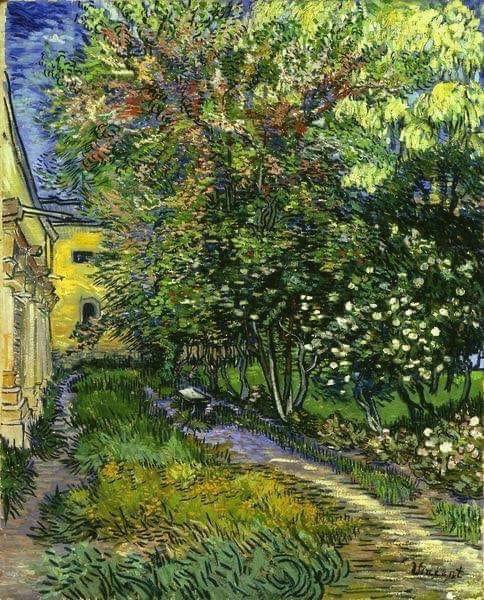 Vincent Van Gogh The Garden Of Saint-paul Hospital Saint-remy May 1889