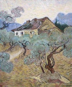 Peinture sur toile de Vincent Van Gogh, The White Cottage Among The Olive Trees 1889 reproduction peinte à la main