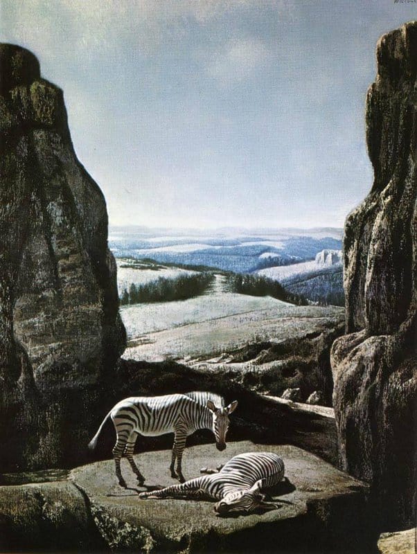 Willink Carel Zebra S In Zwarte Rotskloof 1959