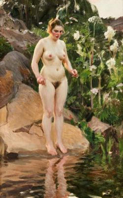 Peinture sur toile de Zorn Anders Archipelago Flowers reproduction peinte à la main