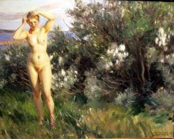 Peinture sur toile de Zorn Anders By Lake Siljan 1905 reproduction peinte à la main