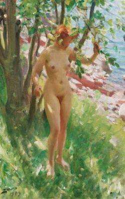 Peinture sur toile de Zorn Anders Skuggan 1909 reproduction peinte à la main